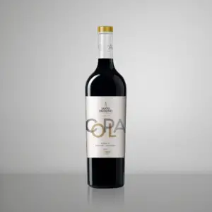 Copla Tannat & Cabernet Sauvignon - Santo Patrono - Kuhlmann - Vinoteca Montecito Tarija